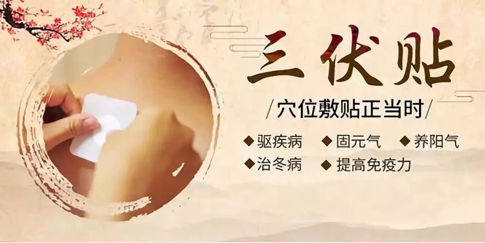 關(guān)于三伏貼，你了解多少呢？